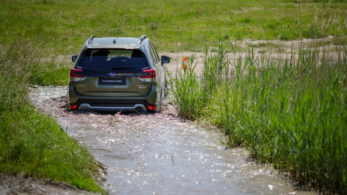 Subaru Forester e-BOXER 2020. Desktop wallpaper