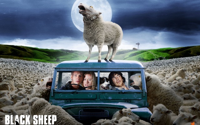 Black Sheep. Desktop wallpaper