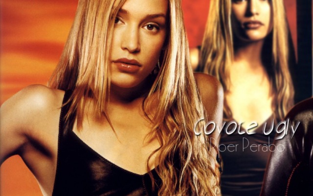 Coyote Ugly. Desktop wallpaper