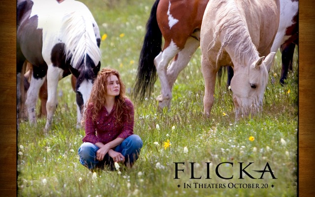 Flicka. Desktop wallpaper