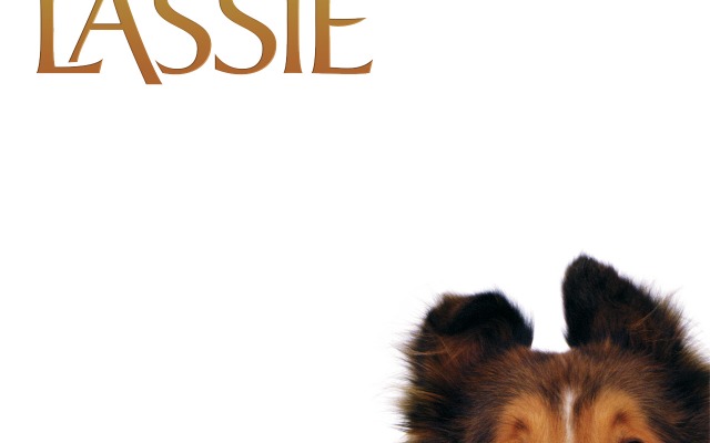 Lassie. Desktop wallpaper