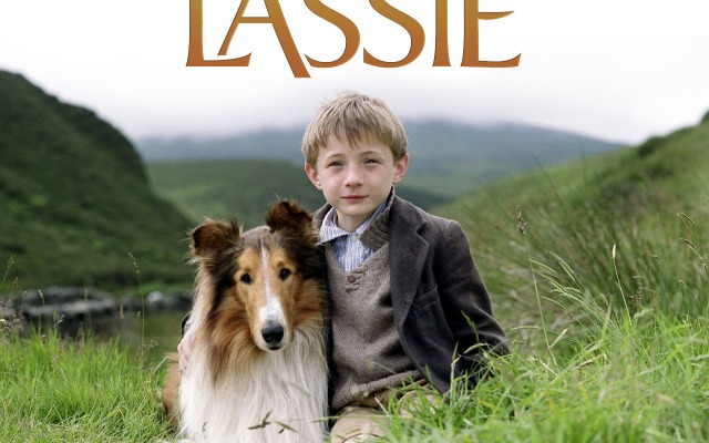 Lassie. Desktop wallpaper