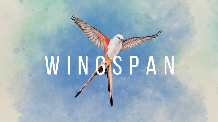 Wingspan. Desktop wallpaper