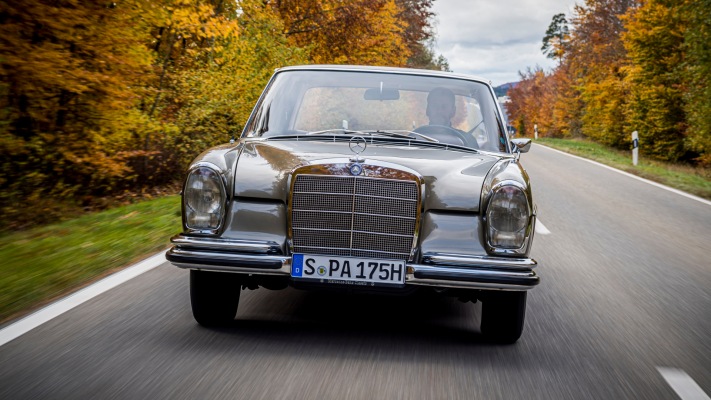 Mercedes-Benz 250 SE 1965. Desktop wallpaper