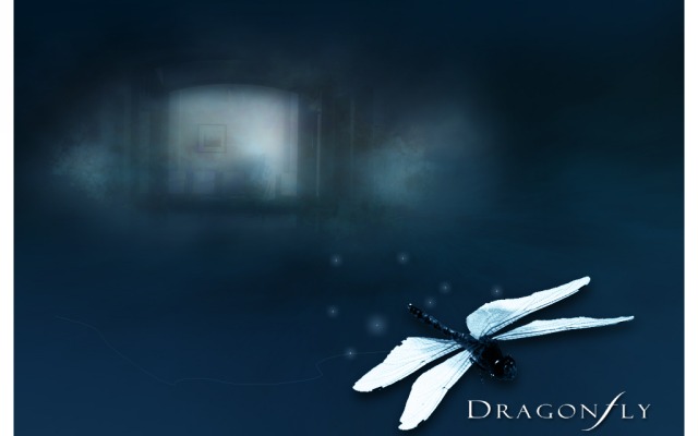 Dragonfly. Desktop wallpaper