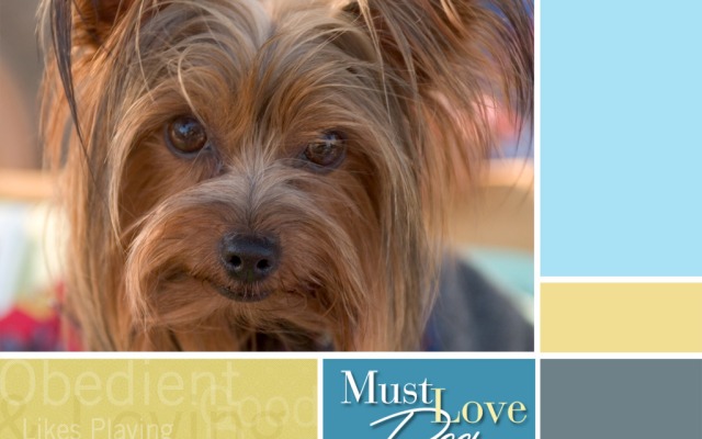 Must Love Dogs. Desktop wallpaper