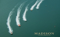 Desktop wallpaper. Madison. ID:14600