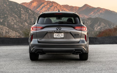 Desktop image. Infiniti QX50 Sport 2023. ID:150715