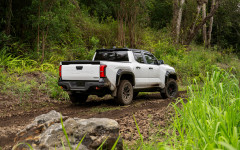 Desktop image. Toyota Tacoma TRD Pro 2024. ID:154995