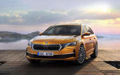 Desktop image. Skoda Octavia Combi 2024. ID:158793