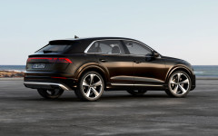 Desktop image. Audi Q8 TSFI e quattro 2024. ID:160094