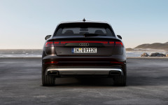 Desktop image. Audi Q8 TSFI e quattro 2024. ID:160096