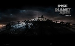 Desktop image. Rise of the Planet of the Apes. ID:17274