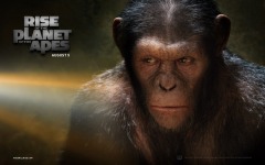Desktop image. Rise of the Planet of the Apes. ID:17277
