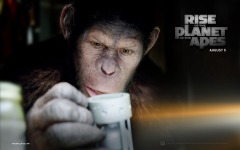 Desktop wallpaper. Rise of the Planet of the Apes. ID:17278