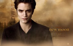 Desktop wallpaper. Twilight Saga: New Moon, The. ID:20431