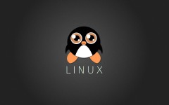 Desktop wallpaper. Linux