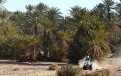 Desktop image. Dakar Rally. ID:21732