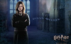 Desktop wallpaper. Harry Potter and the Order of the Phoenix. ID:4066