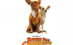 Desktop wallpaper. Beverly Hills Chihuahua. ID:22126