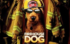Desktop wallpaper. Firehouse Dog. ID:23162