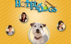 Desktop wallpaper. Hotel for Dogs. ID:23630