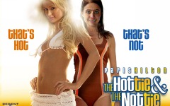 Desktop wallpaper. Hottie and the Nottie, The. ID:23639