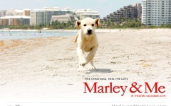 Desktop image. Marley & Me. ID:24264