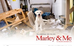 Desktop image. Marley & Me. ID:24267