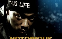 Desktop wallpaper. Notorious. ID:24486