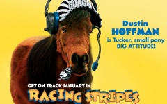 Desktop image. Racing Stripes. ID:24757