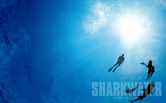 Desktop wallpaper. Sharkwater. ID:24985