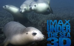 Desktop wallpaper. Under the Sea 3D. ID:25507