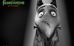 Desktop wallpaper. Frankenweenie. ID:36531