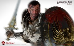 Desktop image. Dragon Age: Origins. ID:38341
