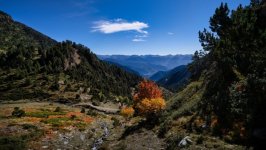 Desktop image. Nature. ID:164414