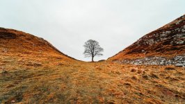 Desktop image. Nature. ID:164960