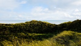 Desktop image. Nature. ID:164975