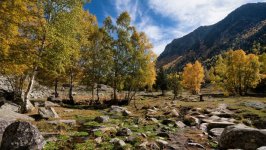 Desktop image. Nature. ID:165090