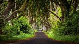 Desktop image. Nature. ID:165136