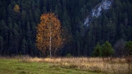 Desktop image. Nature. ID:165144