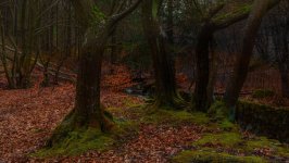 Desktop image. Nature. ID:165611