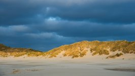 Desktop image. Nature. ID:165636