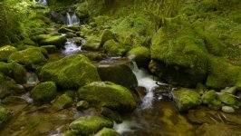 Desktop image. Nature. ID:165987