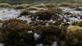 Desktop image. Nature. ID:166052