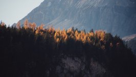 Desktop image. Nature. ID:166098