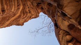 Desktop image. Nature. ID:166181