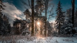 Desktop image. Nature. ID:166247