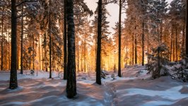 Desktop image. Nature. ID:166258