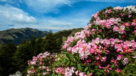 Desktop image. Nature. ID:166266